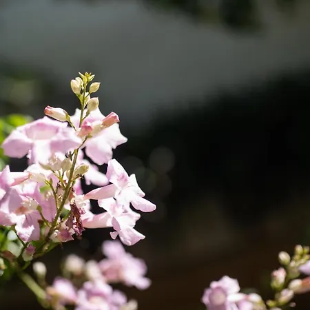 The Nest Of Urban Living By 8essentially Апартаменты